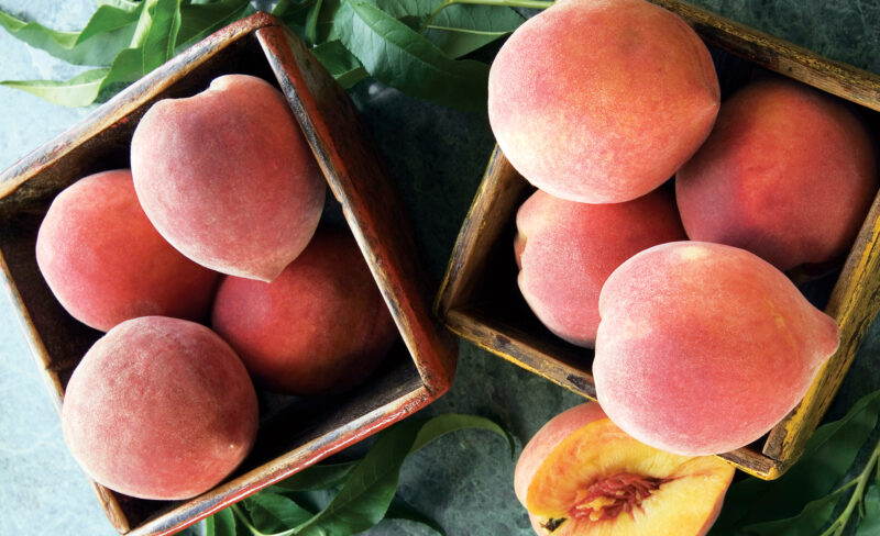 Growing Peaches From Seed